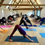 Zomerworkshop @ Iyengar Yoga Koksijde